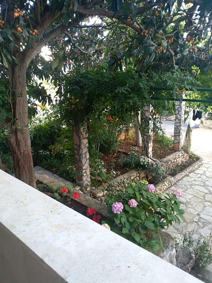 Apartmani Zmiric 普利莫顿 外观 照片